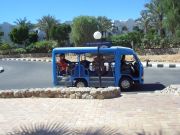 Coral Bay alueella liikkuvat bussit